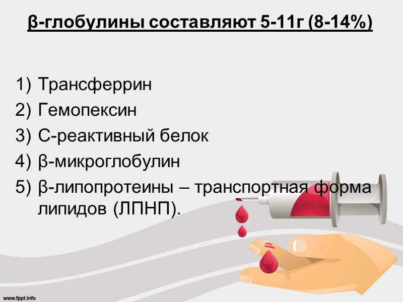 β-глобулины составляют 5-11г (8-14%)  Трансферрин Гемопексин  С-реактивный белок β-микроглобулин β-липопротеины – транспортная